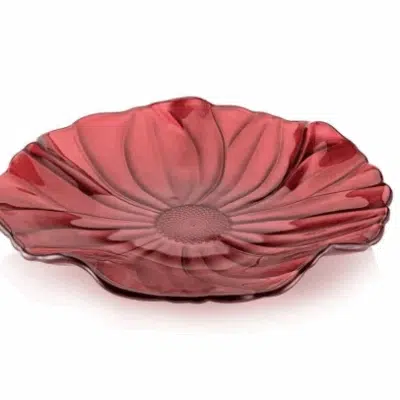 Tanier Magno 28 cm červená