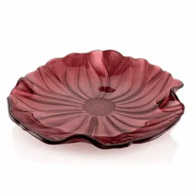 Tanier Magno 22 cm červená